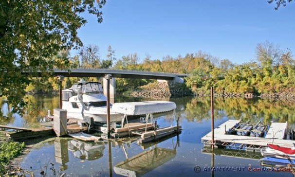 River View from Yard