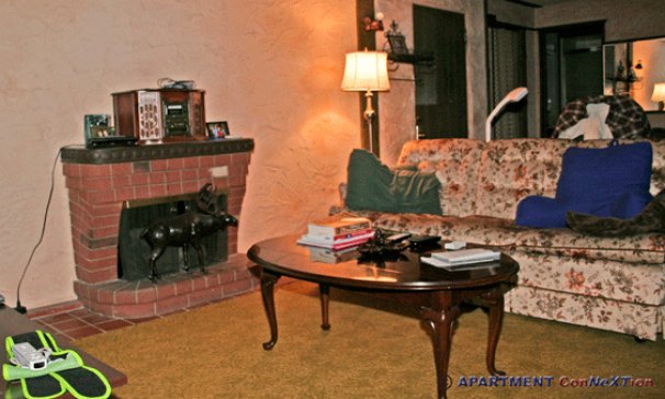 Living Room Fireplace