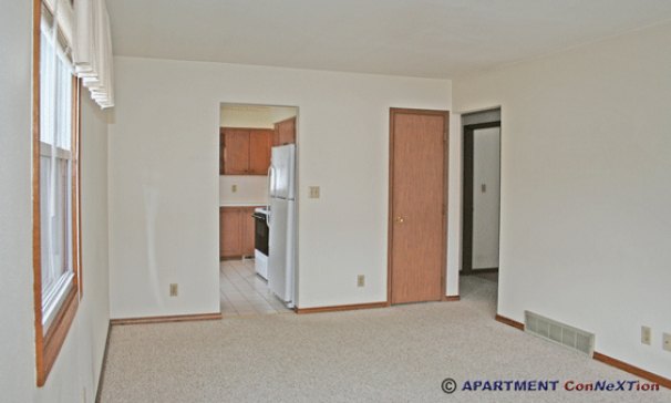 Living Room (view toward kitchen)
