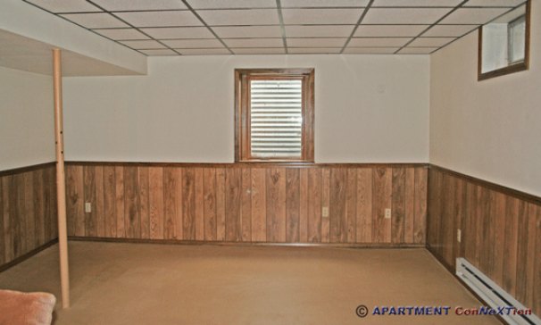 Finished Basement Rec Room