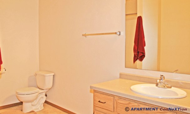 Full Bathroom with Tub/Shower