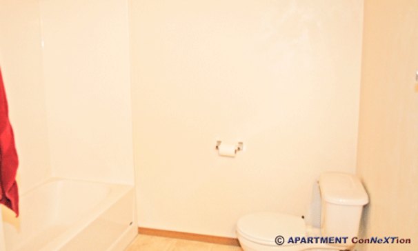 Full Bathroom with Tub/Shower