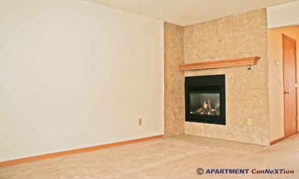 Living Room with Fireplace