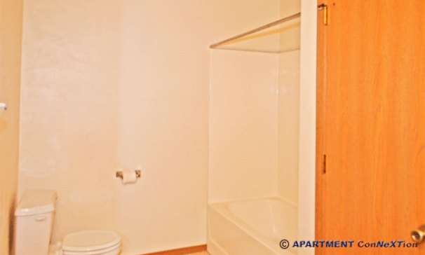 Full Bathroom Tub/Shower View