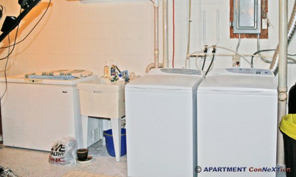 Basement Laundry Area