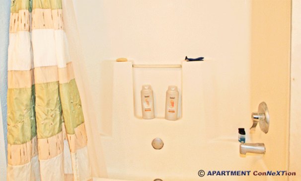 Full Tub/Shower Bathroom