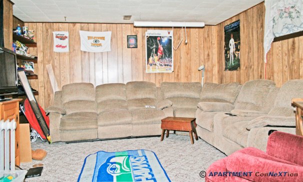 Finished Basement Family Room