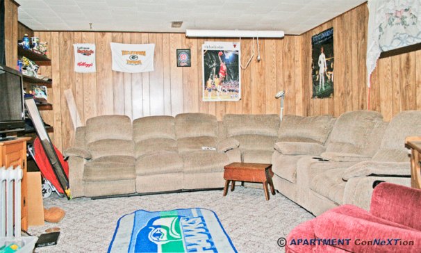 Finished Basement Family Room