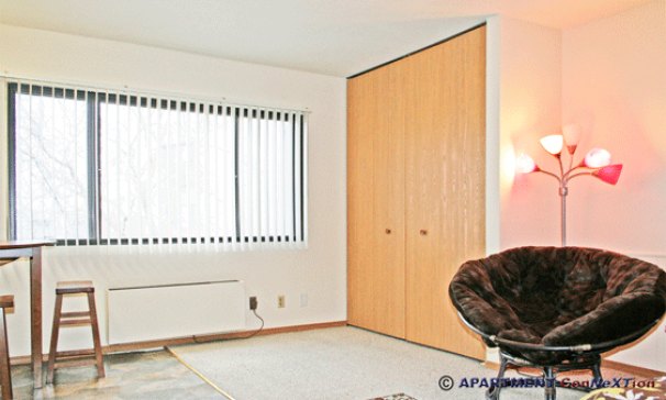 Studio Living / Sleeping Area