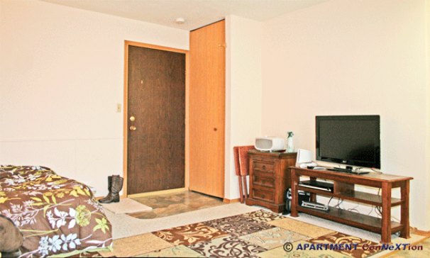 Studio Living / Sleeping Area
