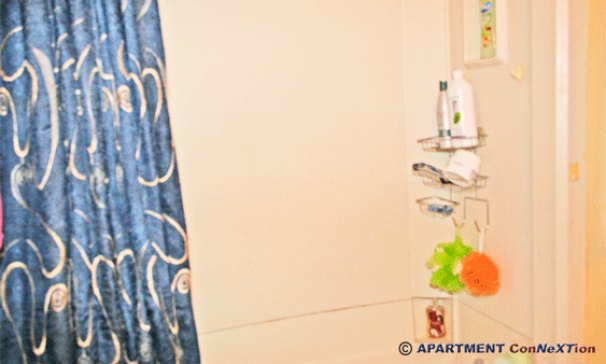 Bathroom 1 Tub/Shower