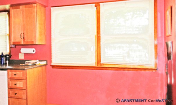 Kitchen Dinette Area