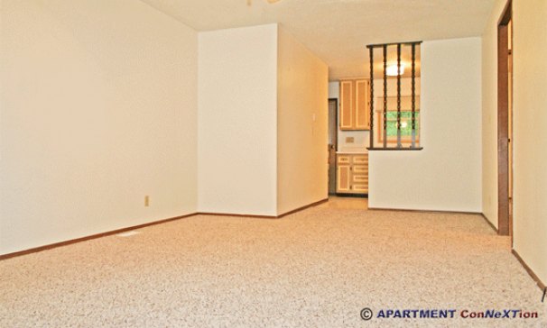 Living Room / Dining Area