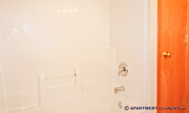 Bathroom Tub / Shower