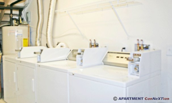 Basement Laundry Room