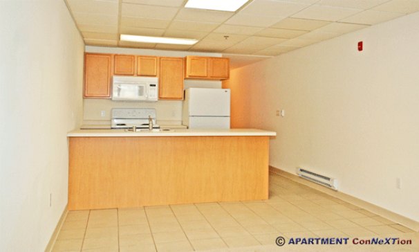 Dining Area and Kitchen