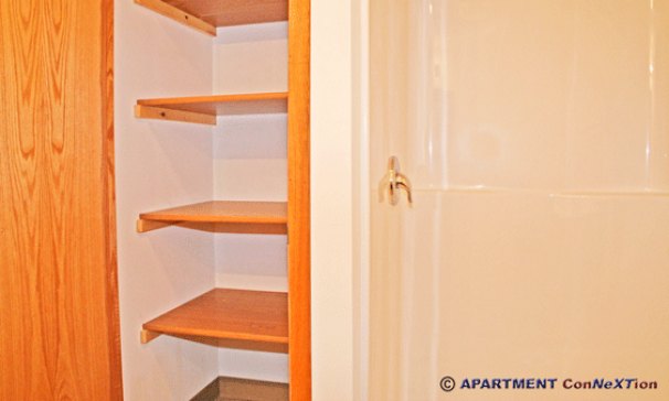 Bathroom Shower & Linen Closet