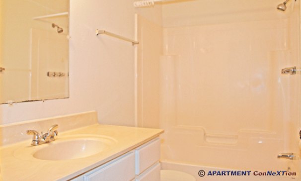 Lower Level Bathroom