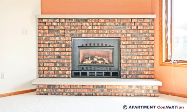 Living Room Fireplace