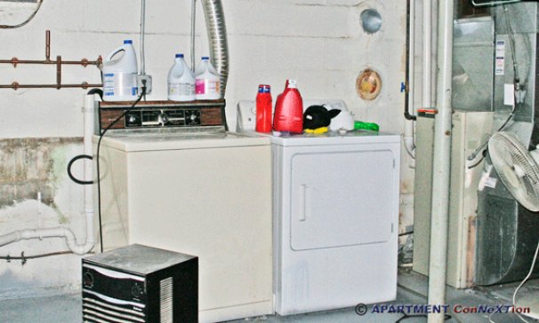 Washer / Dryer in Basement