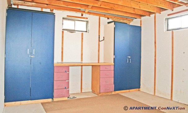 Basement Storage & Workspace