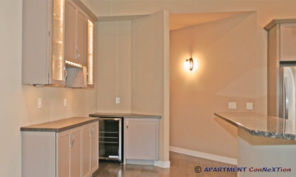 Built-In Bar & Wine Refrigerator