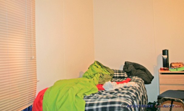 Bedroom 2 or Den / Study