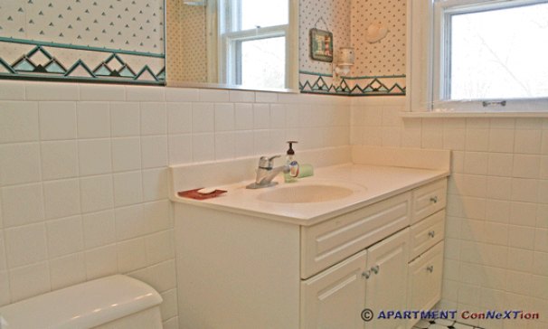 Half Bathroom (Main Floor)