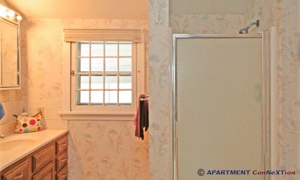 Full Bathroom Shower