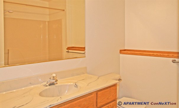 Full Bathroom with Tub / Shower