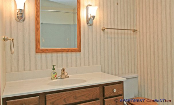 Full Bathroom with Tub/Shower