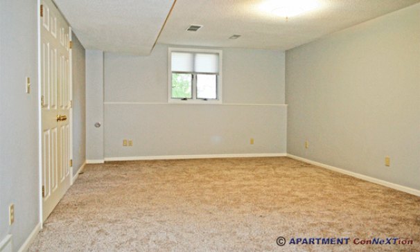 Bedroom 4 (lower level)