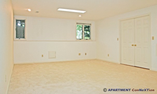 Family Room (lower level)