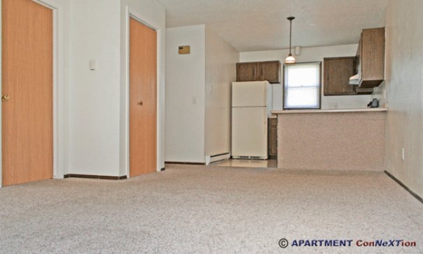 Kitchen & Dining (from living room)