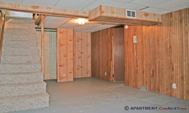 Basement Rec Room