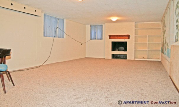 Basement Recreation Room