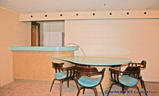 Basement Rec Room Bar