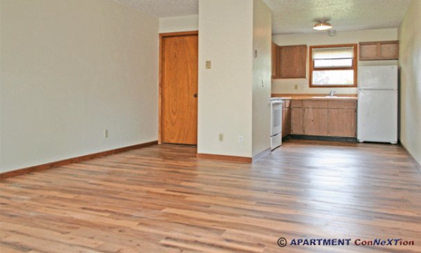 Living Room / Dining Area / Kitchen