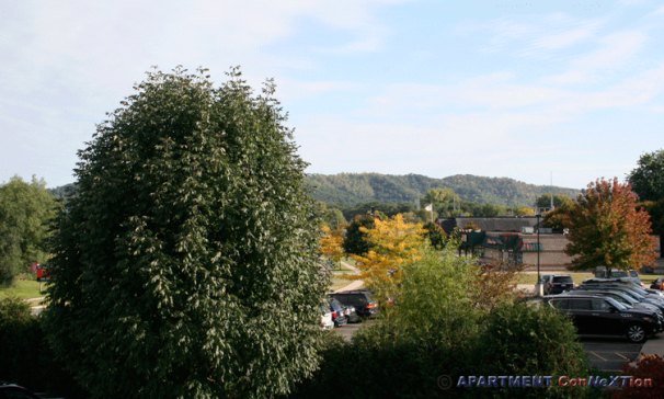Bluff & Ridge Line View from Deck