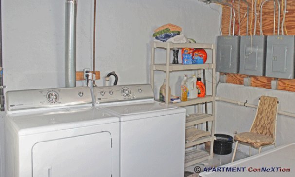 Free Laundry in Basement