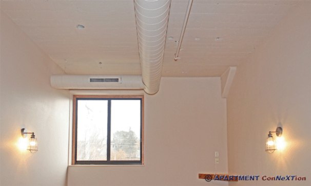 High Ceilings (Living Room)