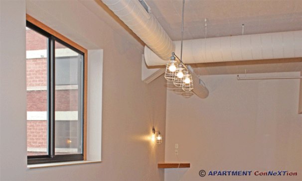 High Ceilings in Living Area