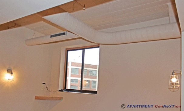 High Ceilings in Living Room