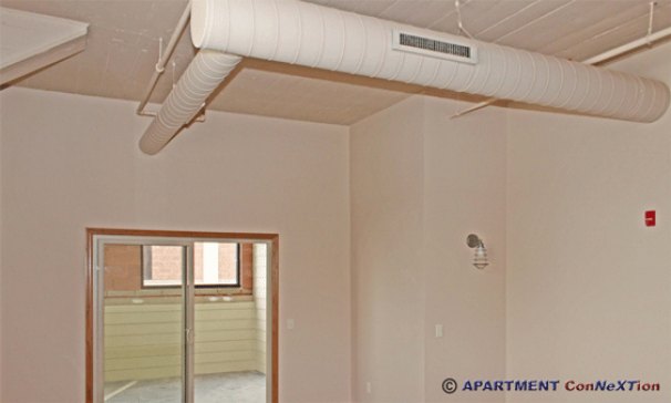 High Ceilings (Living Room)