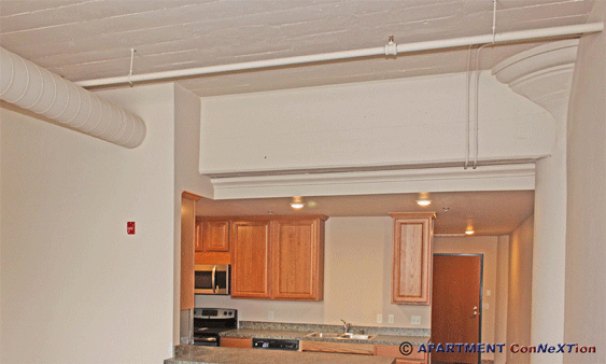 High Ceilings (Living Room)