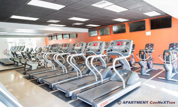 Premier Fitness Memberships Included