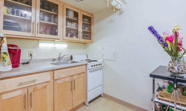 Kitchen Birch