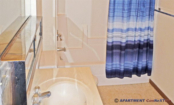 Bathroom with Full Tub / Shower