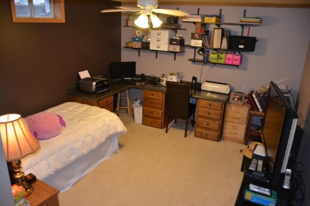 Family Room - Lower Level