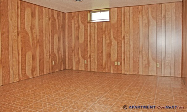 Recreation Room (lower lever)